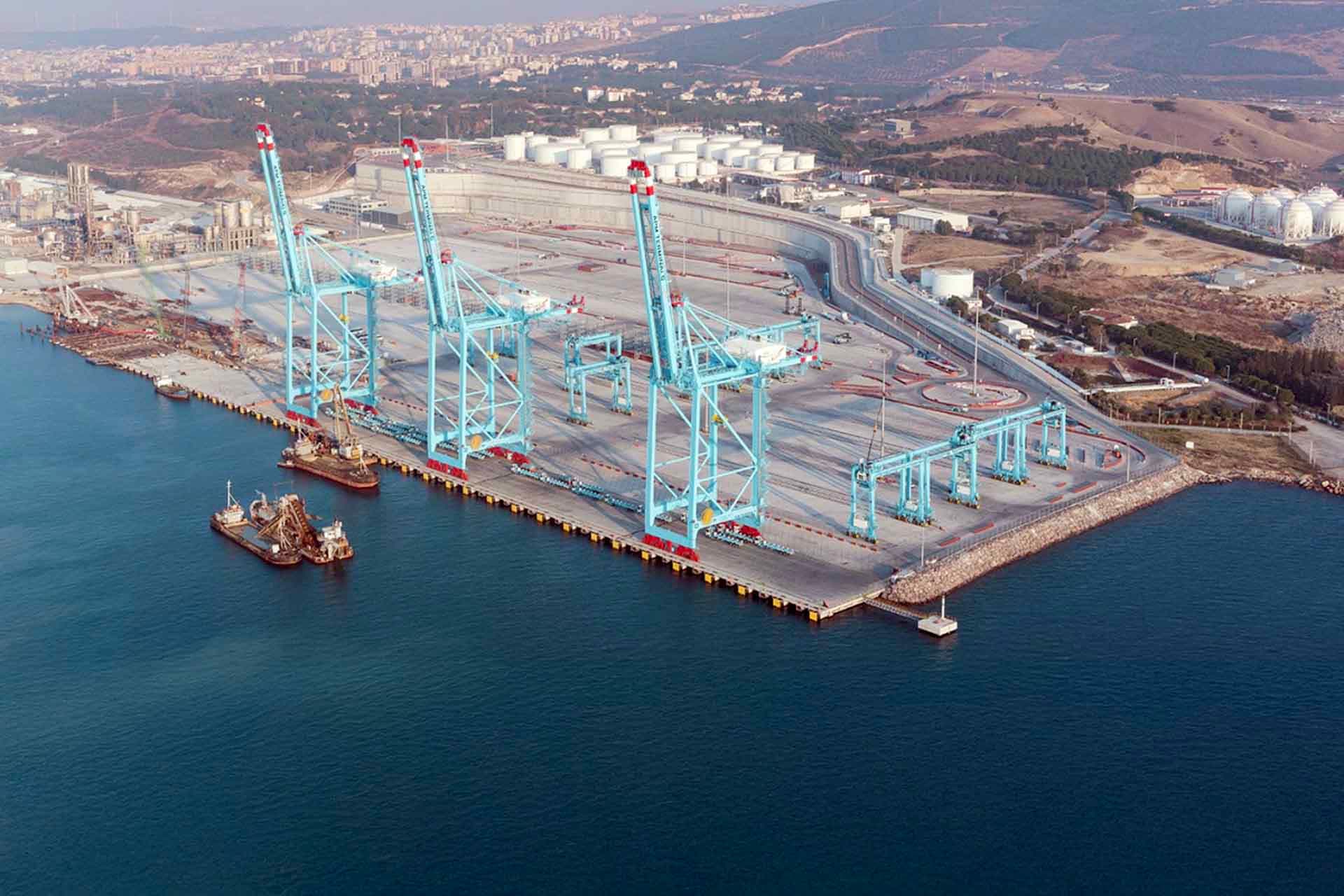 PETLİM 2013/2017 kapak görseli