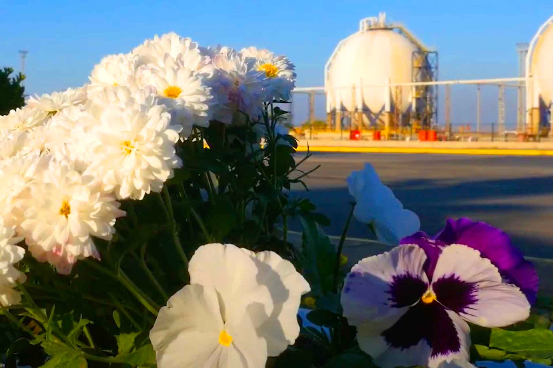 TÜPRAŞ İZMİR EBSO kapak görseli